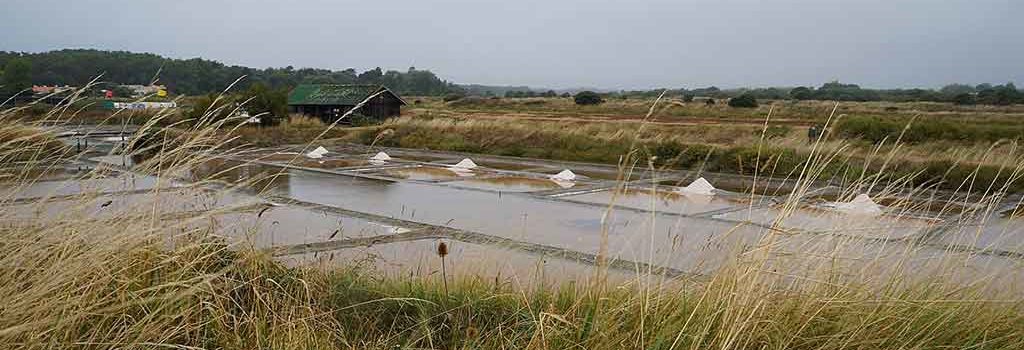 salines sables olonne 1024x350