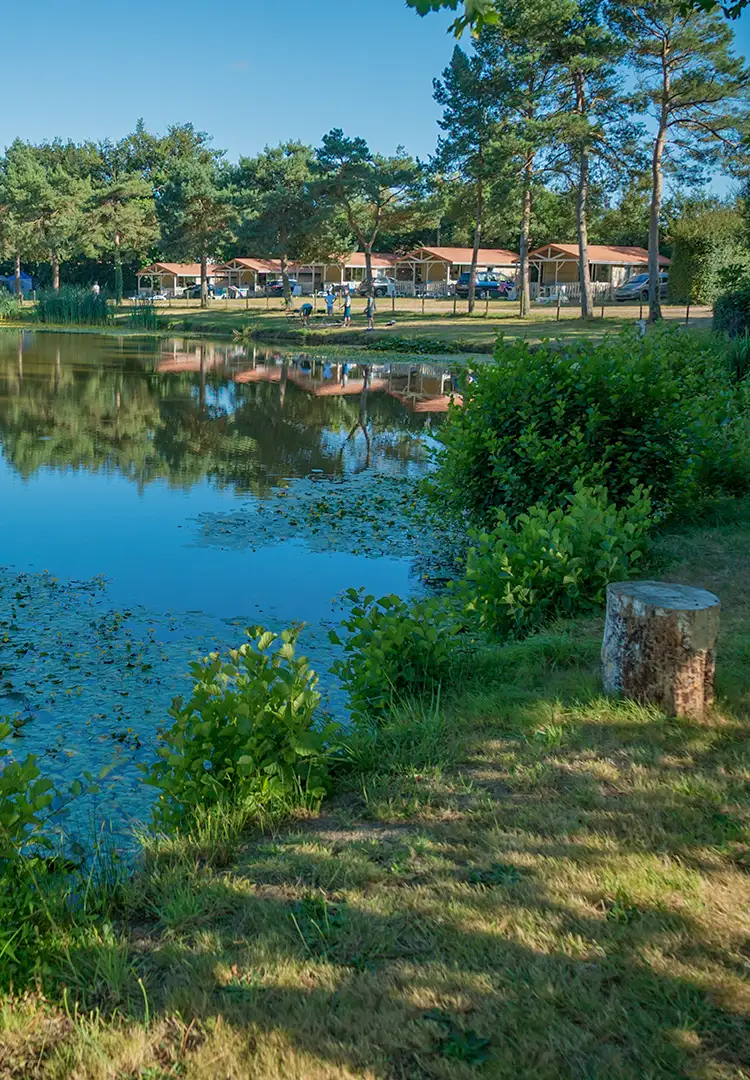 familiecamping la bretonniere in vendee