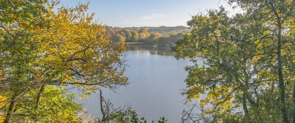 lac de jaunay