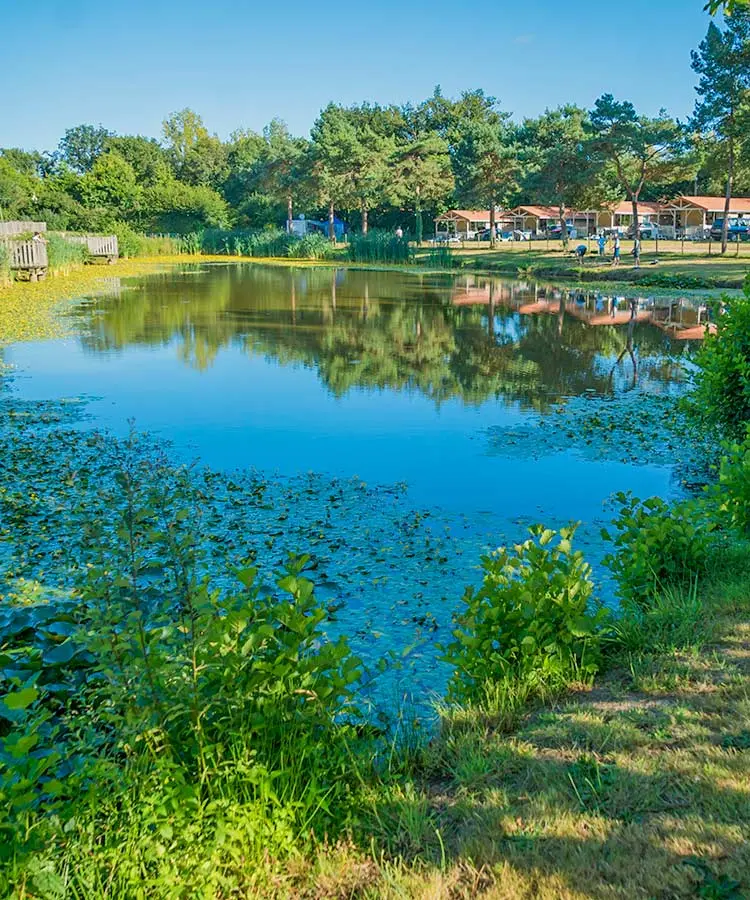 peche en lac camping bretonniere vendee