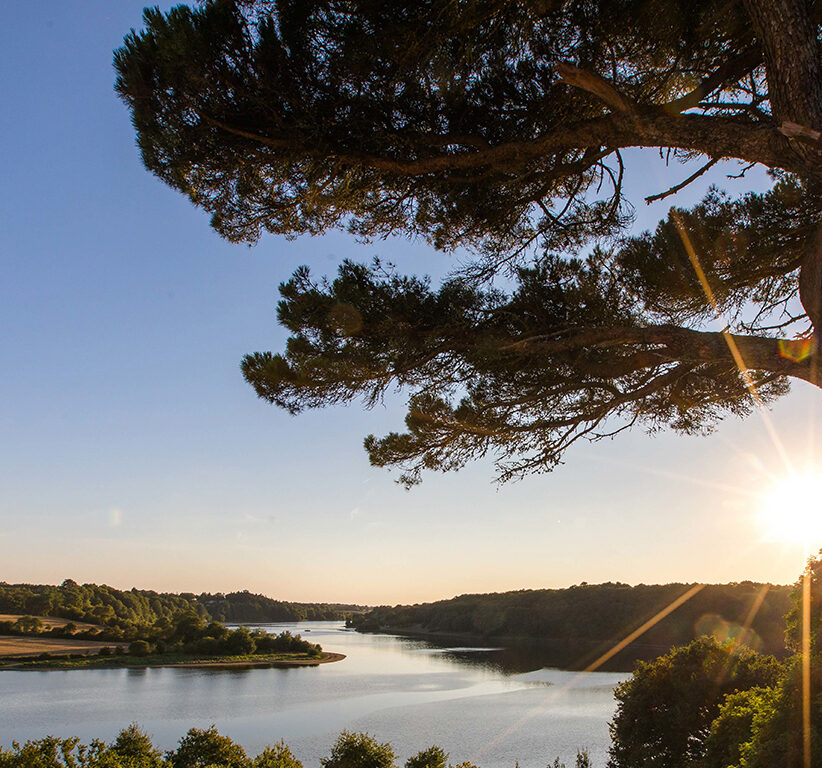 lac du jaunay